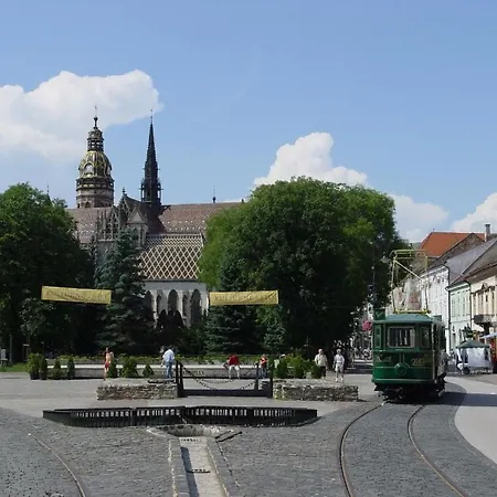 Apartment Lux & Comfort